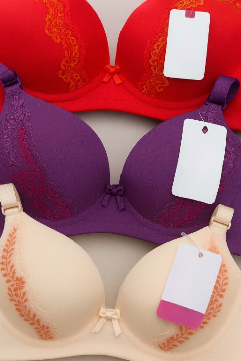 Padded Bra for Women – Embroidered Lace Bra with Soft Cushioned Cups, Sizes 36 to 42